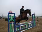 la_cravache (49)