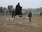 la_cravache (5)