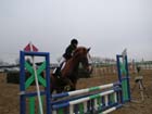 la_cravache (55)