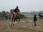 la_cravache (6)