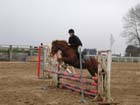 la_cravache (60)