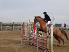 la_cravache (68)
