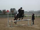 la_cravache (7)