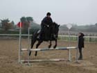 la_cravache (8)