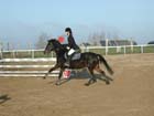 la_cravache (93)