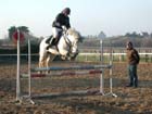 la_cravache (95)