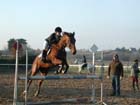 la_cravache (99)