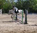 Photo 201