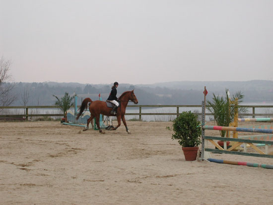 P1010077